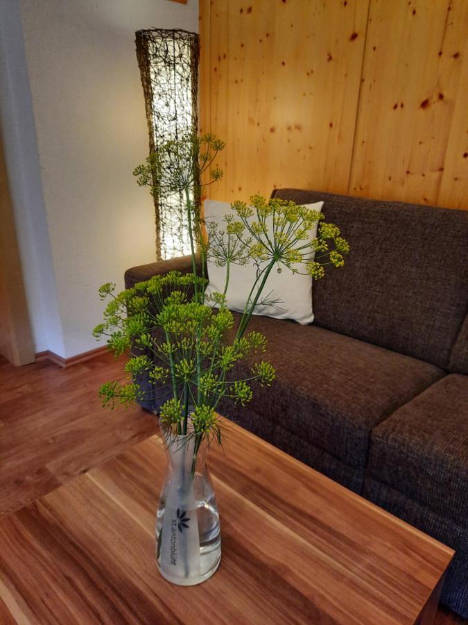 Apartmán Haus Untergand Sankt Anton am Arlberg Exteriér fotografie
